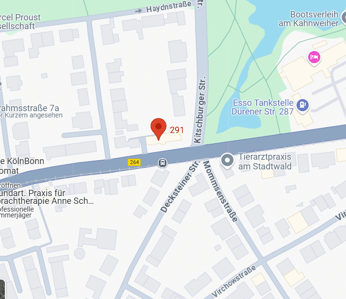 Google Maps Ansicht des Radiologischen mamonova Standorts Köln-Lindenthal